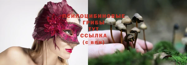 а пвп мука Осташков