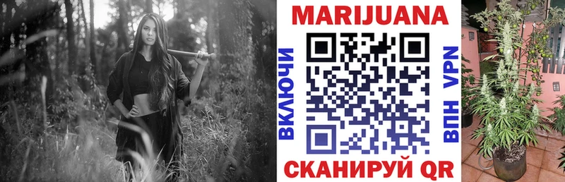 купить  цена  Юрьев-Польский  Бошки марихуана SATIVA & INDICA 